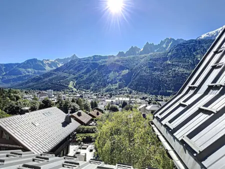 Appart. standing Chamonix, 3 ch, vue Mont-Blanc, parking : photo 14