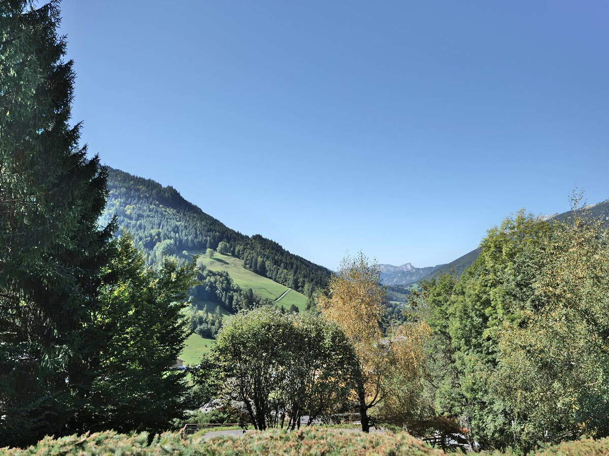 T2 rénové au Grand-Bornand, balcon et terrasse vue Aravis - Photo 17