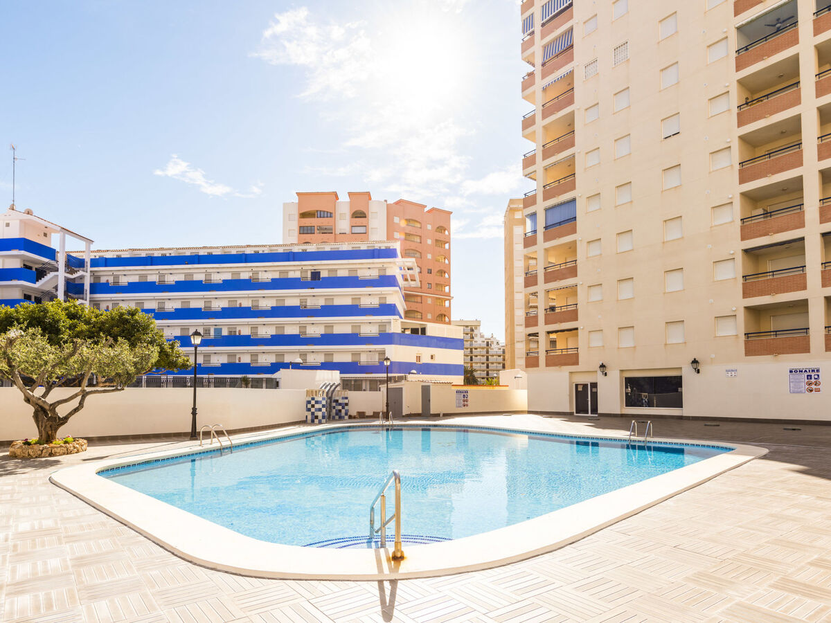 Bonaire IV - La Concha, appartement 2p à 300m de la plage - Photo 1