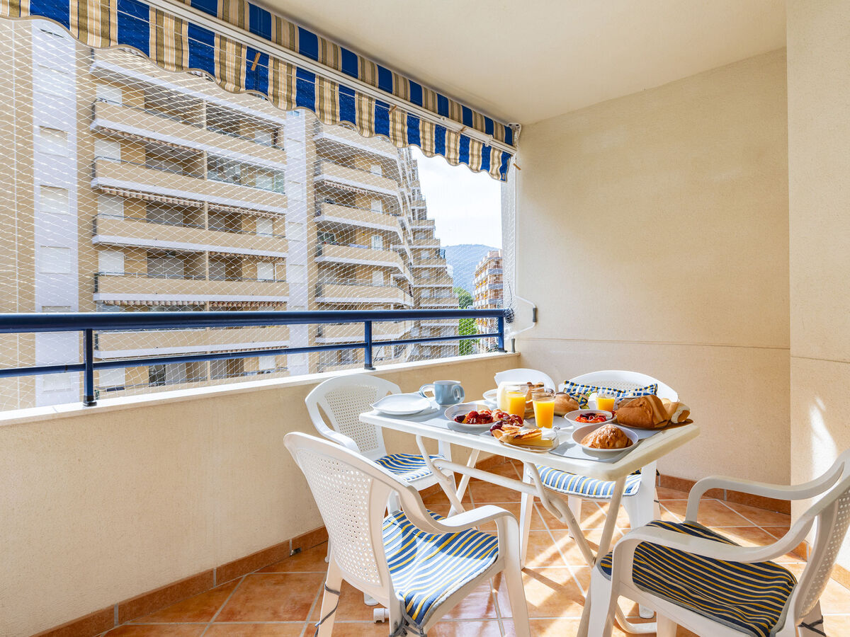 Bonaire IV - La Concha, appartement 2p à 300m de la plage - Photo 13