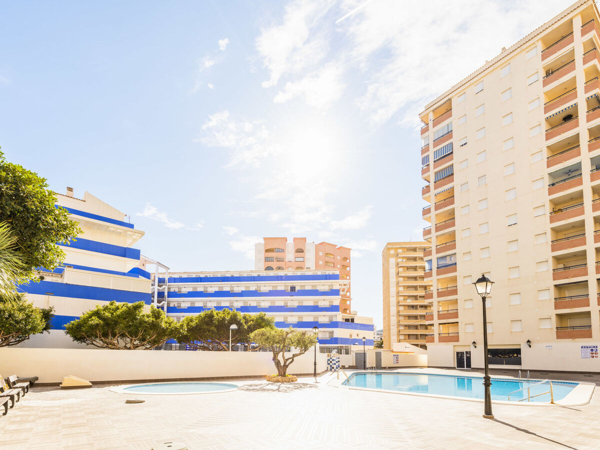 Bonaire IV - La Concha, appartement 2p à 300m de la plage - Photo 15