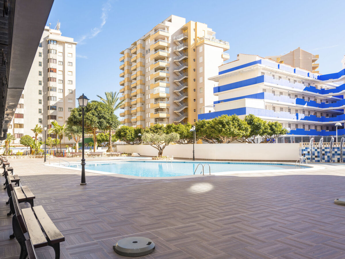 Bonaire IV - La Concha, appartement 2p à 300m de la plage - Photo 16