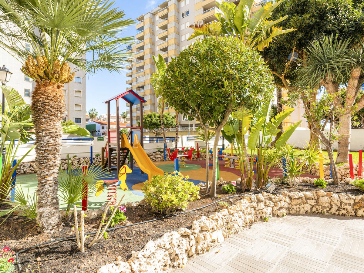 Bonaire IV - La Concha, appartement 2p à 300m de la plage - Photo 17