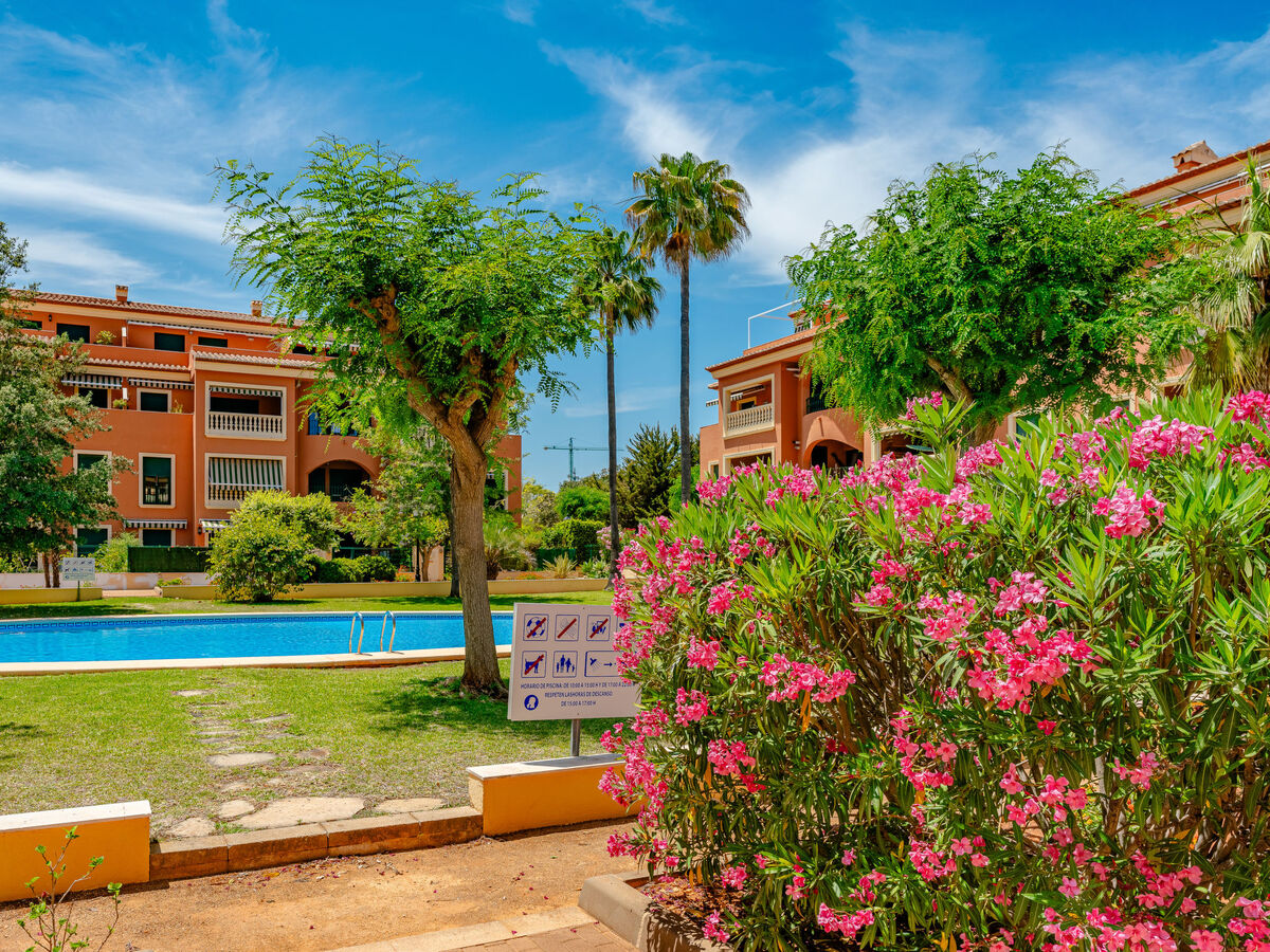 Appartement Jardines del Puerto – Piscine et port à 600 m - Photo 29