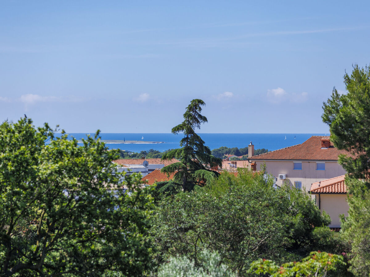 Villa David 4 chambres avec piscine chauffée à Medulin - Photo 11