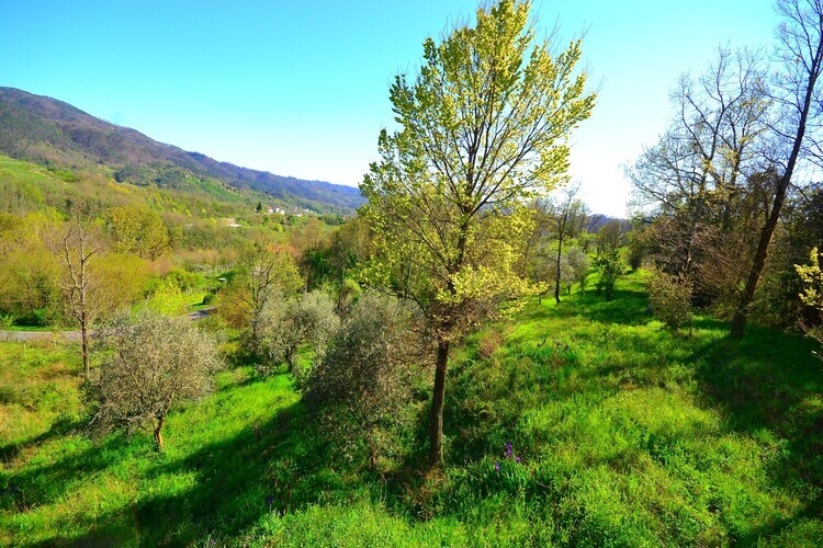 Villa Crocetta Uno Extra à Sesta Godano - Photo 23