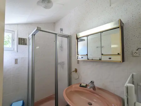 Gîte sur île privée en Berry, accès passerelle : photo 13