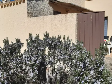 Villa T3 climatisée avec piscine à Port Leucate : photo 6