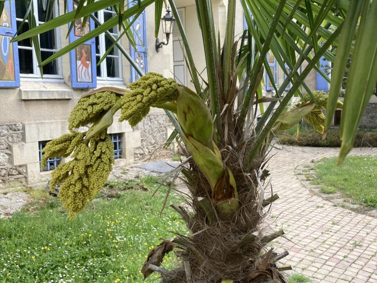Villa Sainte Marie, gîte 1900 avec jardin clos à Sanssat - Photo 27
