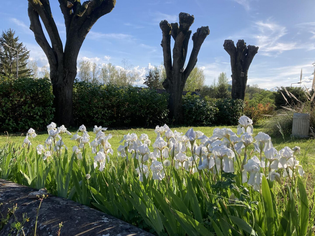 Villa Sainte Marie, gîte 1900 avec jardin clos à Sanssat - Photo 33