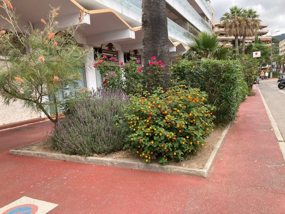 T2 climatisé 100 m plage au Lavandou, vue mer - Photo 18