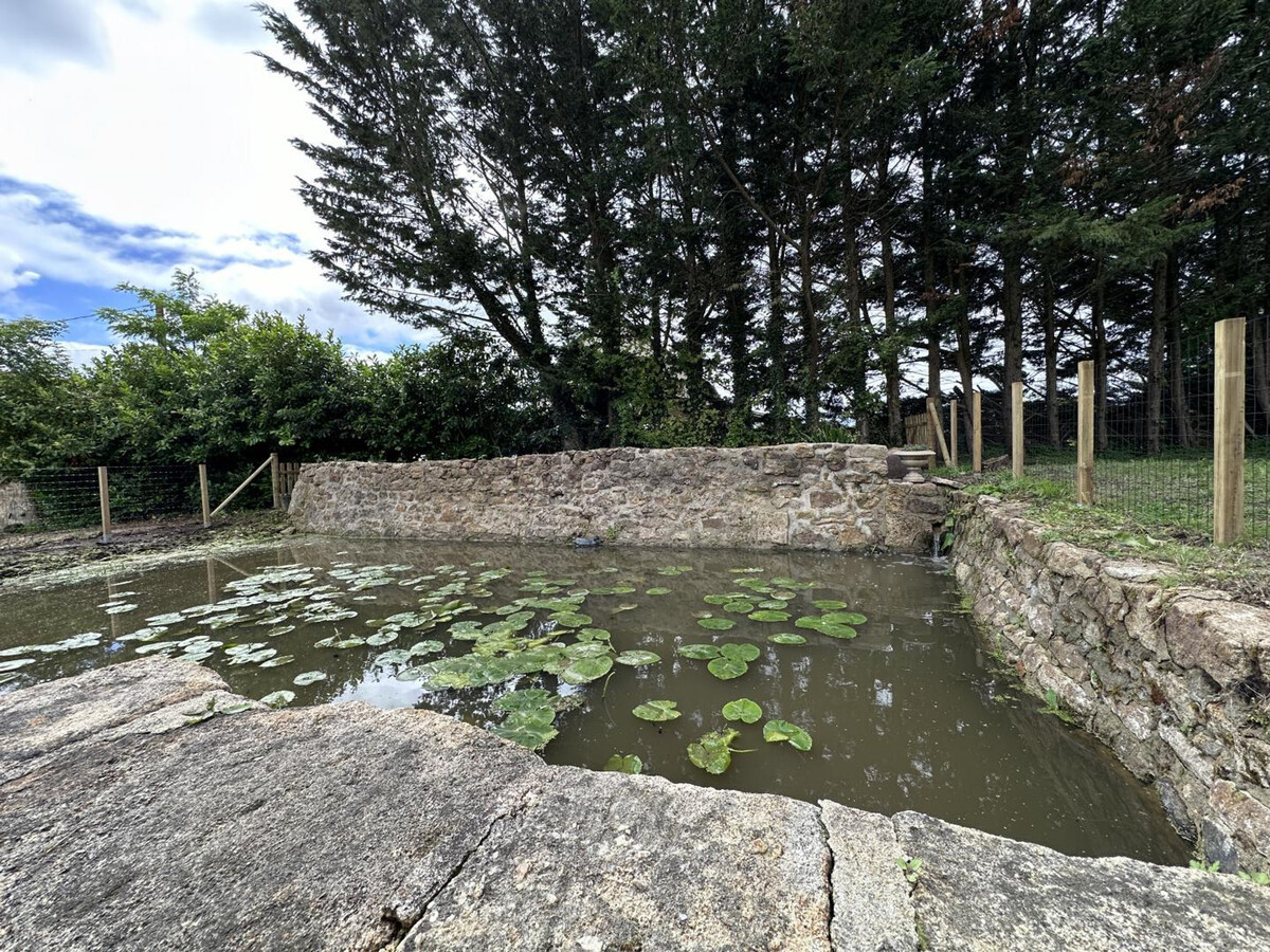 Gîte de l'Espinasse : Ancienne fermette rénovée, animaux acceptés - Photo 23