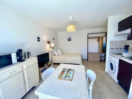 Studio rénové climatisé avec terrasse à Mèze : photo 2
