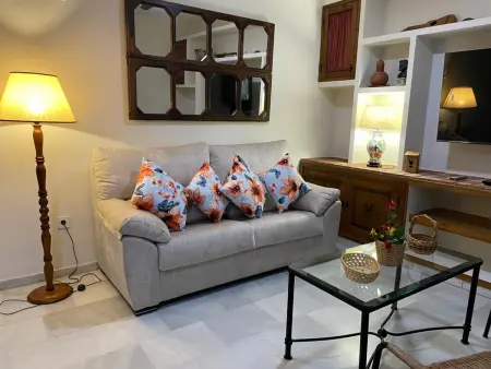 Villa 3 chambres avec terrasse sud au cœur de la Judería : photo 4