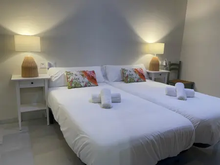 Villa 3 chambres avec terrasse sud au cœur de la Judería : photo 14