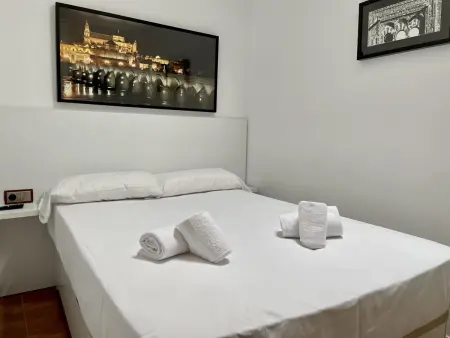 Le Coin de la Mosquée – Appartement Cordoue : photo 11