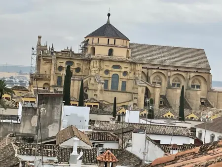 Le Coin de la Mosquée – Appartement Cordoue : photo 12