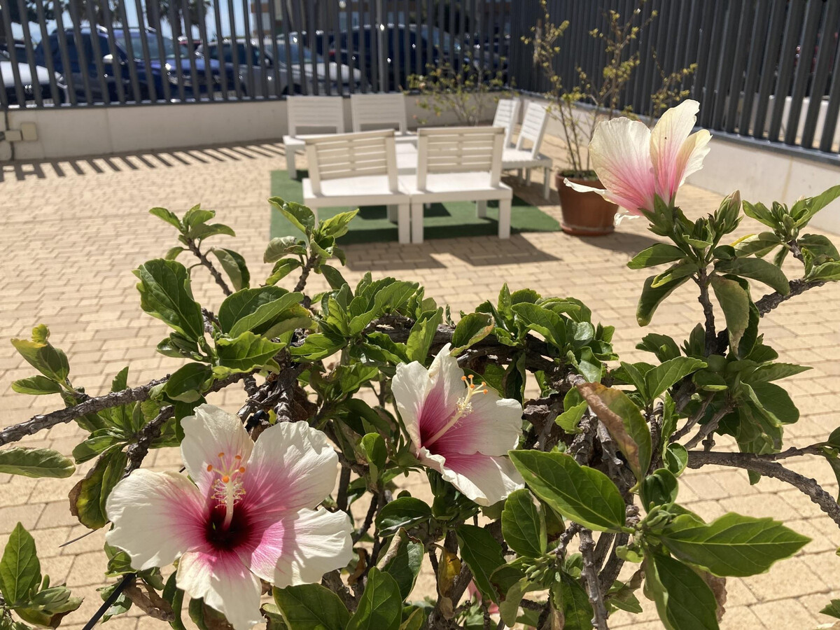 Appartement neuf première ligne de plage à Torrox Costa - Photo 18