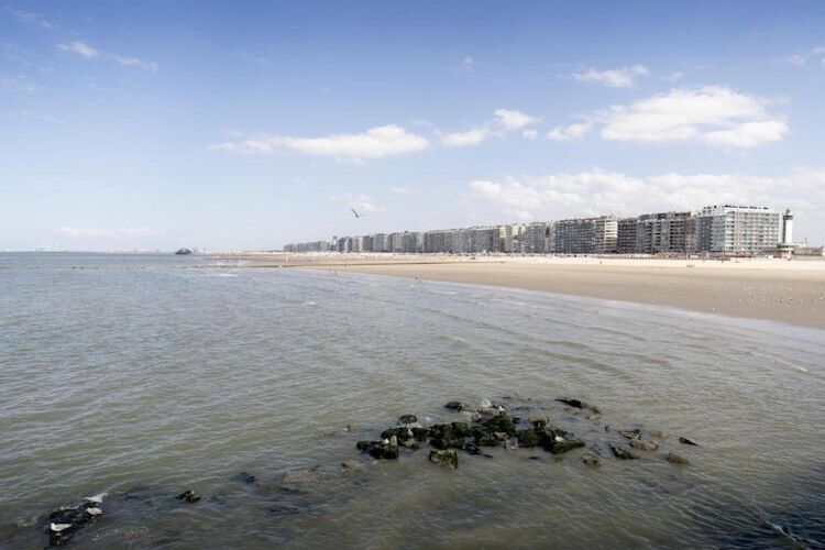La Caravelle : chalet 4 pers. à 500 m de la plage - Photo 31