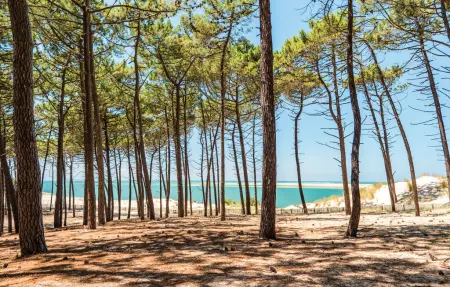 Maison 6 pers. avec chambre au sous-sol, à 500m de la plage : photo 27