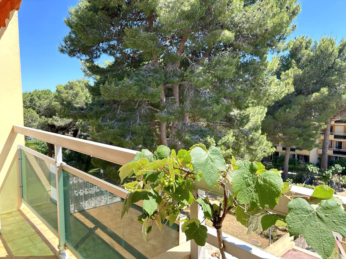 Appartement 2 pièces Bormes-les-Mimosas, balcon sud et garage - Photo 2