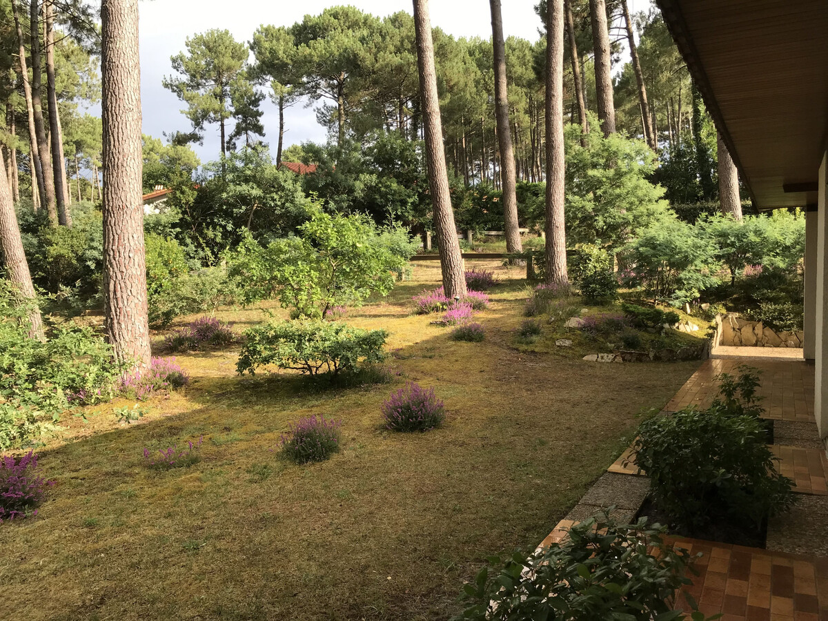 Maison 6 pers. aux pins à Biscarrosse, 300m du lac - Photo 3