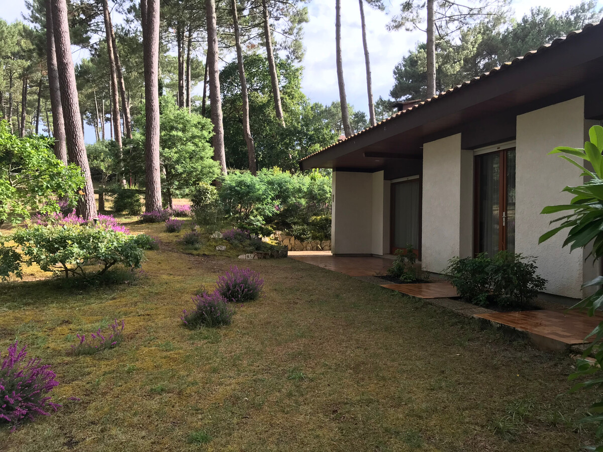 Maison 6 pers. aux pins à Biscarrosse, 300m du lac - Photo 18