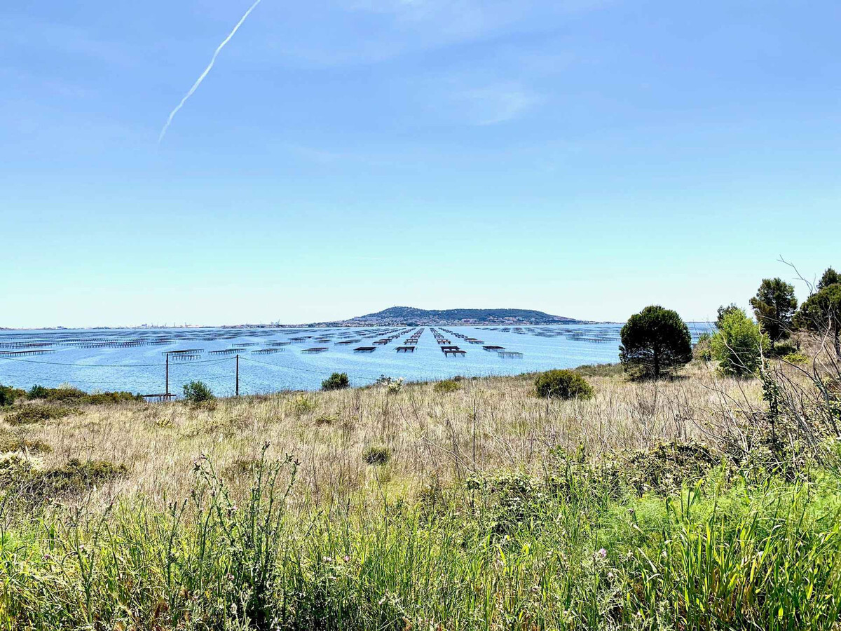 Maison vigneronne rénovée 125m² - 6 pers. à Loupian - Photo 14
