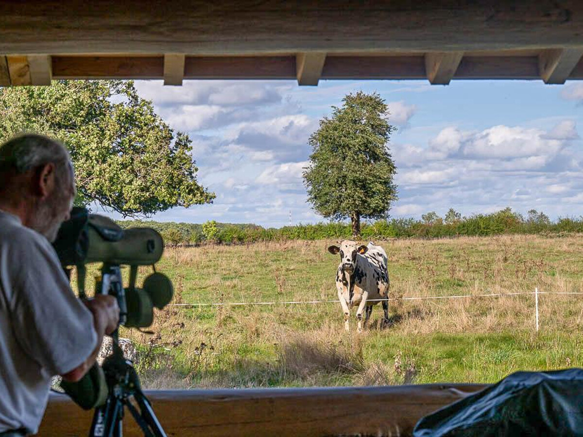 Cabane du Trappeur : séjour insolite en forêt avec sauna - Photo 3