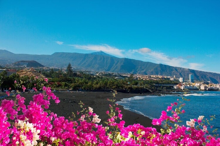Maison vue mer à Puerto de La Cruz, 300 m de la plage - Photo 30