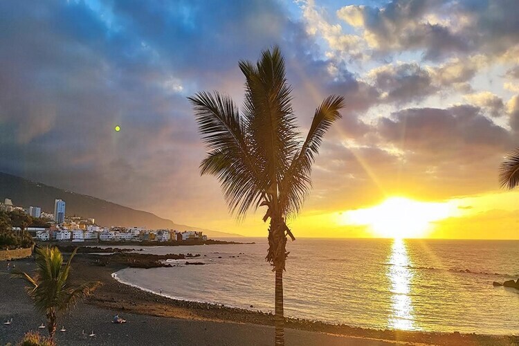 Maison vue mer à Puerto de La Cruz, 300 m de la plage - Photo 36