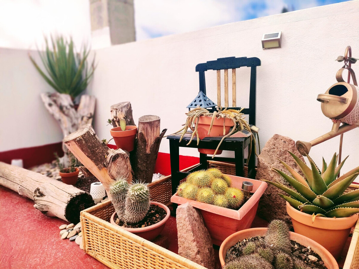 Maison 3 chambres, 2 terrasses et barbecue à Granadilla - Photo 10