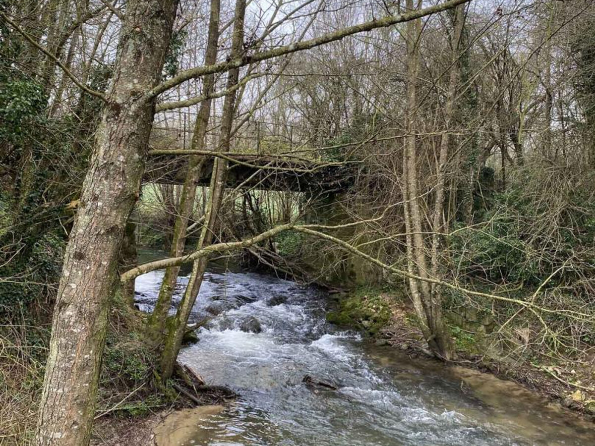 Chaumière d'Auge avec cheminée, jardin et accès forêt-jardin - Photo 29