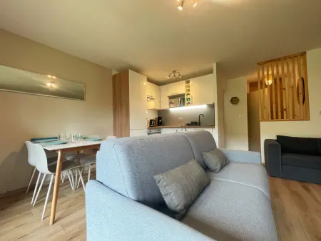Studio Les Mélèzes à Samoëns, balcon et ski-bus à 10m : photo 3