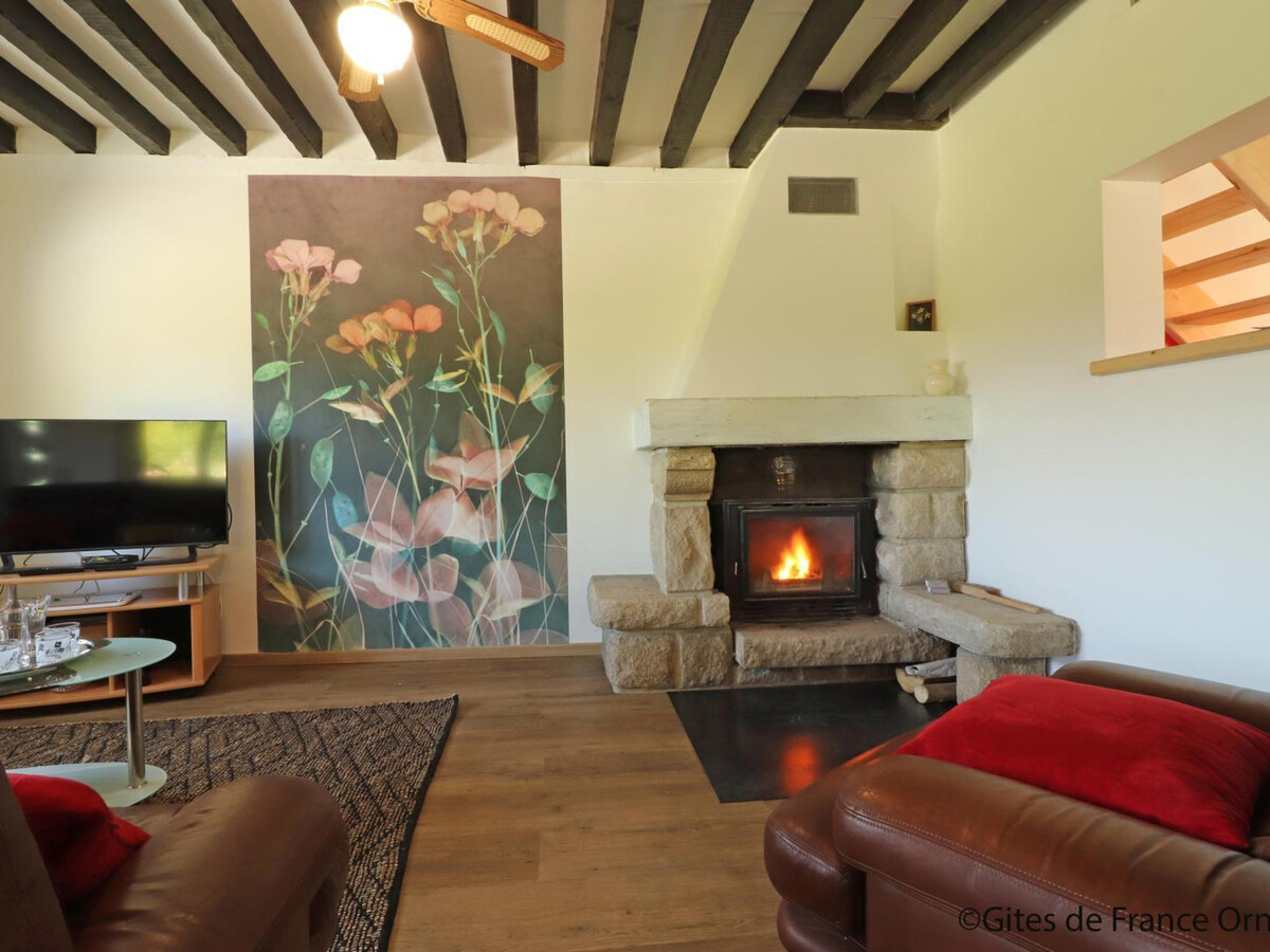 Gîte rural La Ferté-en-Ouche, 4 pers., jardin 500m² - Photo 8