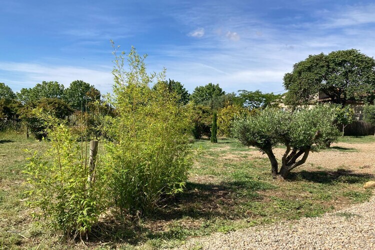 Le Hangar de Jean – Maison 6 pers. piscine privée - Photo 28
