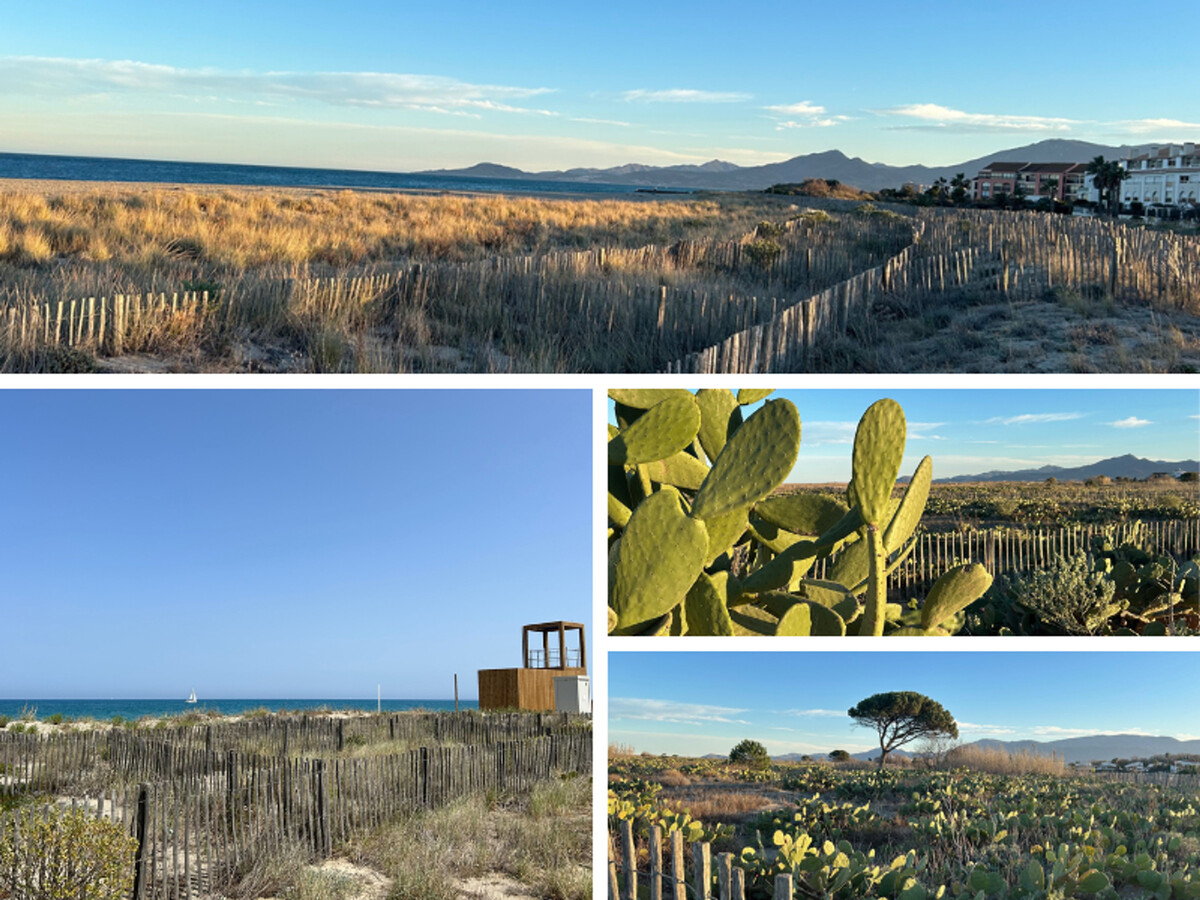 T2 Mezzanine Saint-Cyprien : 4 pers, plage 200m - Photo 23