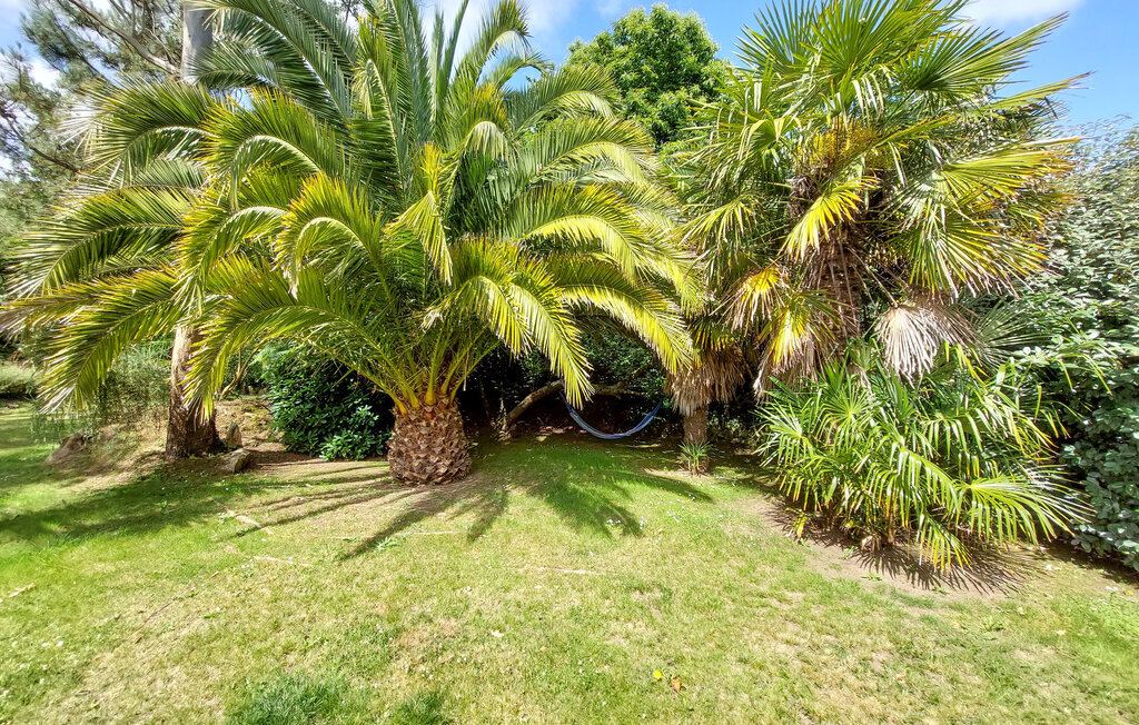 Maison 10 pers. avec piscine chauffée à Ploubezre - Photo 18