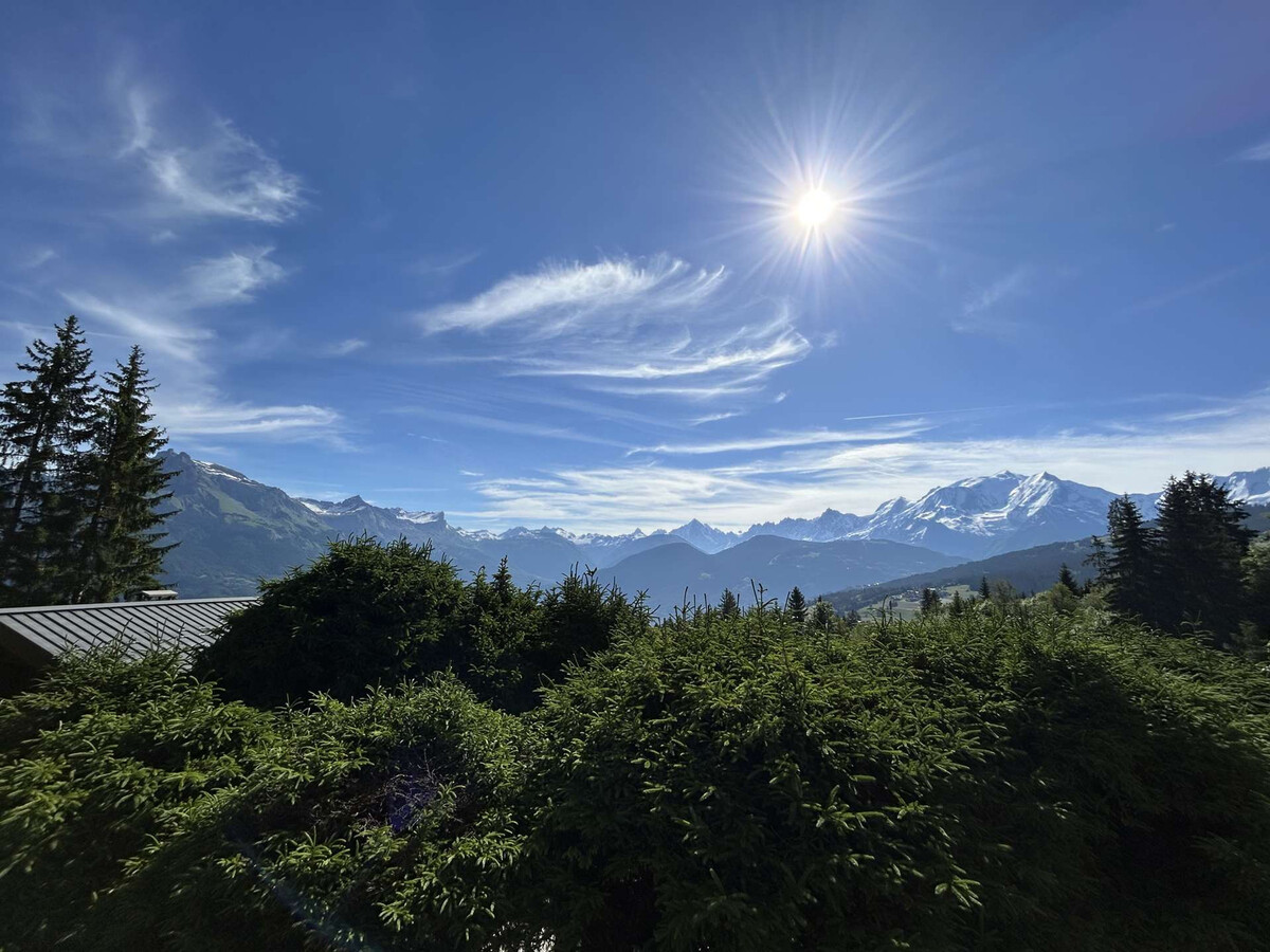 Appart 3P + mezzanine, 7 couchages, vue Mont-Blanc - Photo 15