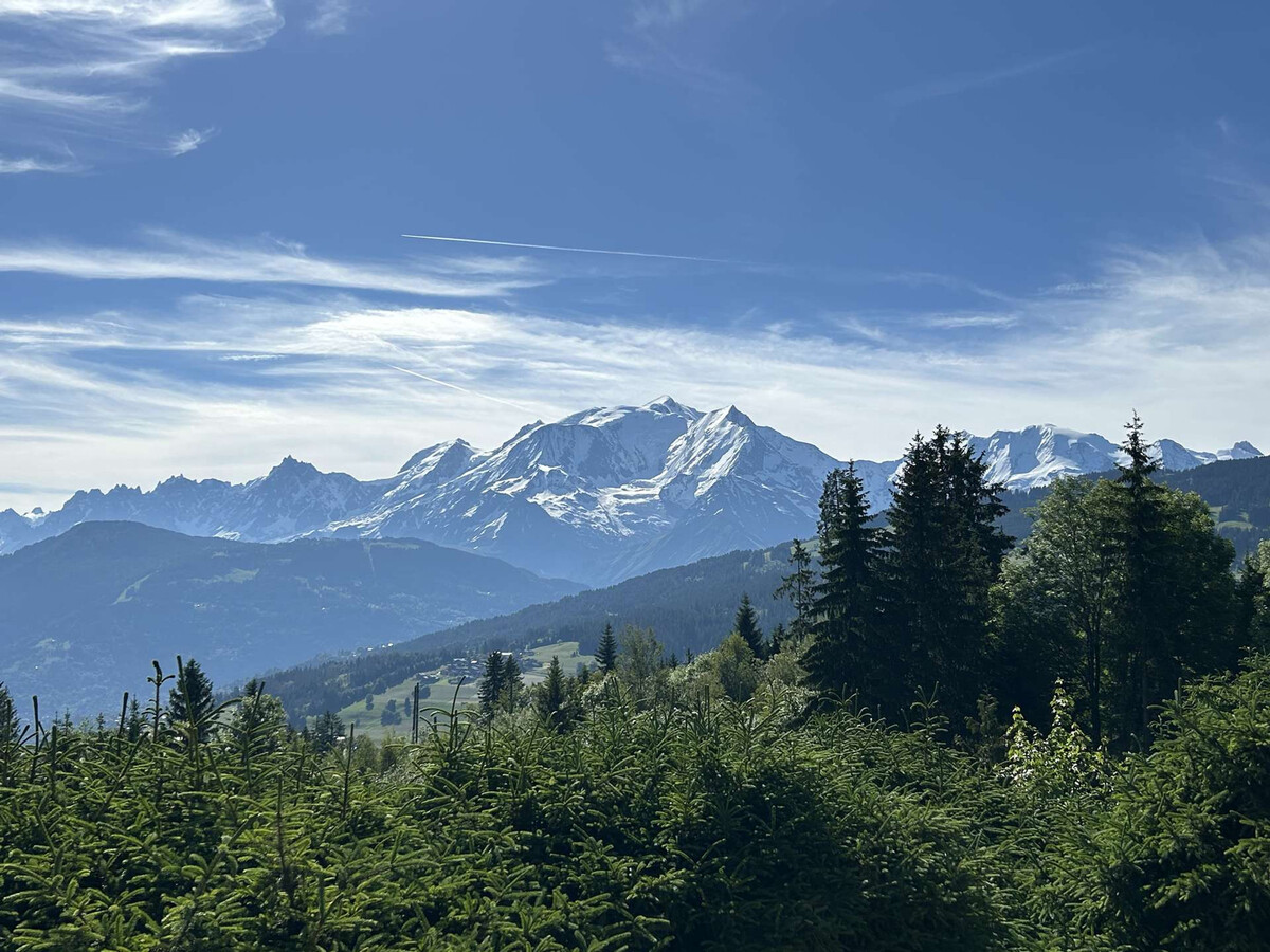 Appart 3P + mezzanine, 7 couchages, vue Mont-Blanc - Photo 16