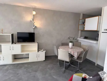Appartement 2 pièces vue mer et terrasse, Le Grau-du-Roi : photo 10