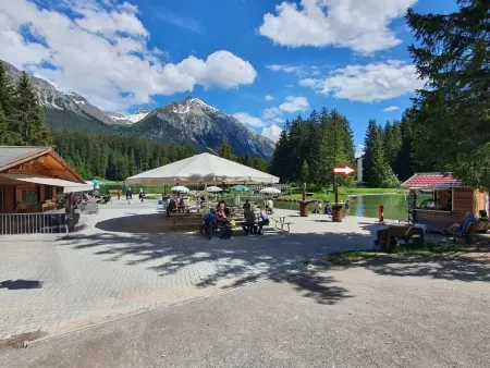 Belmont Seegarten, Appartement 2 personnes à Lenzerheide - Photo 2