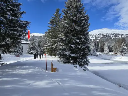 Belmont Seegarten, Appartement 2 personnes à Lenzerheide - Photo 4