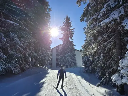 Belmont Seegarten, Appartement 2 personnes à Lenzerheide - Photo 5