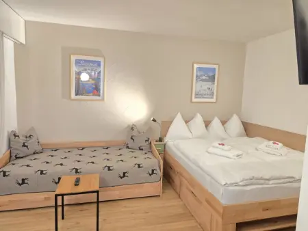 Belmont Seegarten, Appartement 2 personnes à Lenzerheide - Photo 6