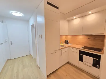 Belmont Seegarten, Appartement 2 personnes à Lenzerheide - Photo 13