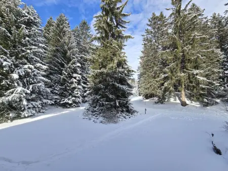 Belmont Seegarten, Appartement 2 personnes à Lenzerheide - Photo 17