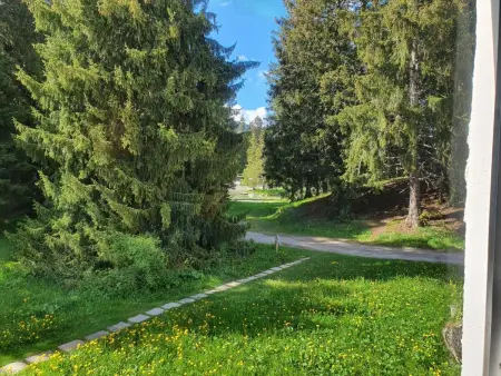 Belmont Seegarten, Appartement 2 personnes à Lenzerheide - Photo 18