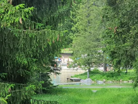 Belmont Seegarten, Appartement 2 personnes à Lenzerheide - Photo 19