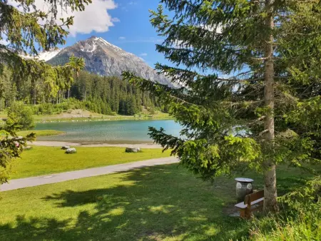 Belmont Seegarten, Appartement 2 personnes à Lenzerheide - Photo 28